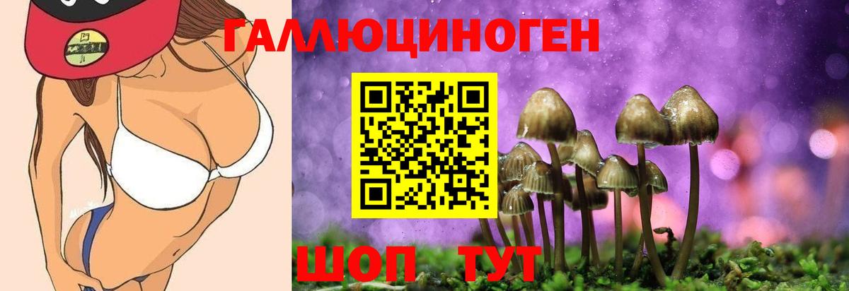 Псилоцибиновые грибы Magic Shrooms Барабинск