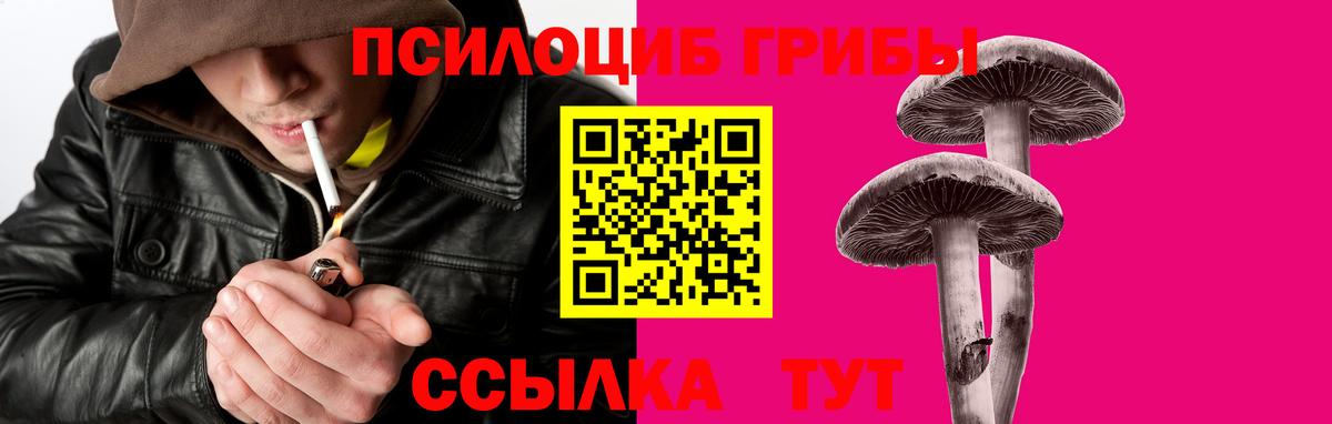 Барабинск  Псилоцибиновые грибы Magic Shrooms  Вход с VPN  купить наркоту  Галлюциногенные грибы MAGIC MUSHROOMS 